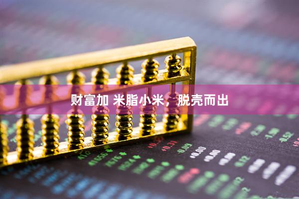 财富加 米脂小米，脱壳而出