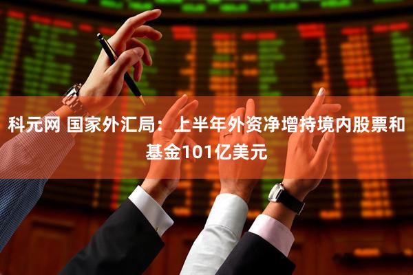 科元网 国家外汇局：上半年外资净增持境内股票和基金101亿美元