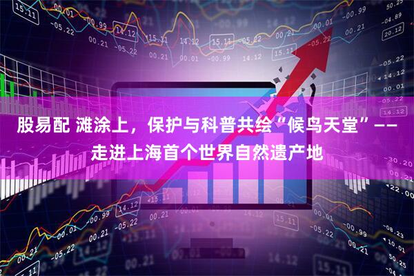 股易配 滩涂上，保护与科普共绘“候鸟天堂”——走进上海首个世界自然遗产地