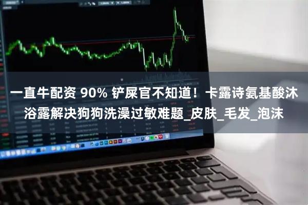 一直牛配资 90% 铲屎官不知道!卡露诗氨基酸沐浴露解决狗狗洗澡过敏难题_皮肤_毛发_泡沫