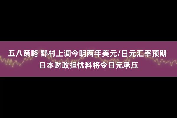 五八策略 野村上调今明两年美元/日元汇率预期 日本财政担忧料将令日元承压